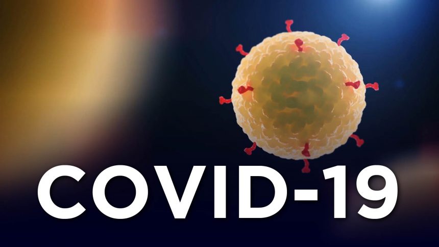 KML Coronavirus update – March 2020